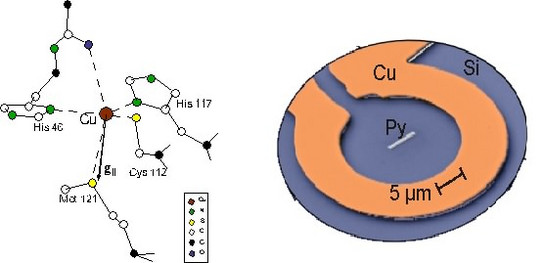 Left: Structure of the active center of the metalloprotein Azurin. Right: ESR Microresonator with a single permalloy stripe.