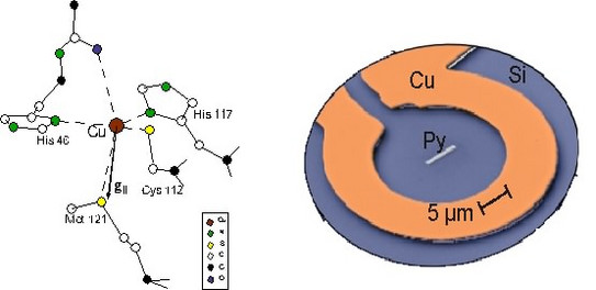 Left: Structure of the active center of the metalloprotein Azurin. Right: ESR Microresonator with a single permalloy stripe.