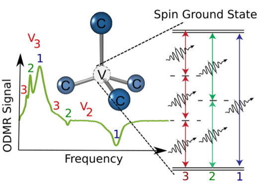 Multi-photon spin transitions in Si vacancies