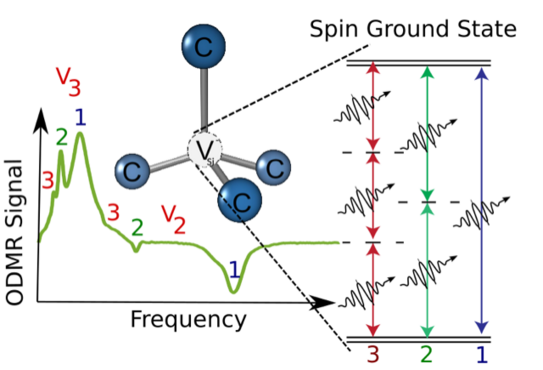 Multi-photon spin transitions in Si vacancies 